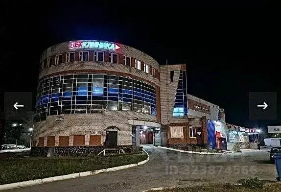 Помещение свободного назначения в Чувашия, Чебоксары Гражданская ул., ... - Фото 1