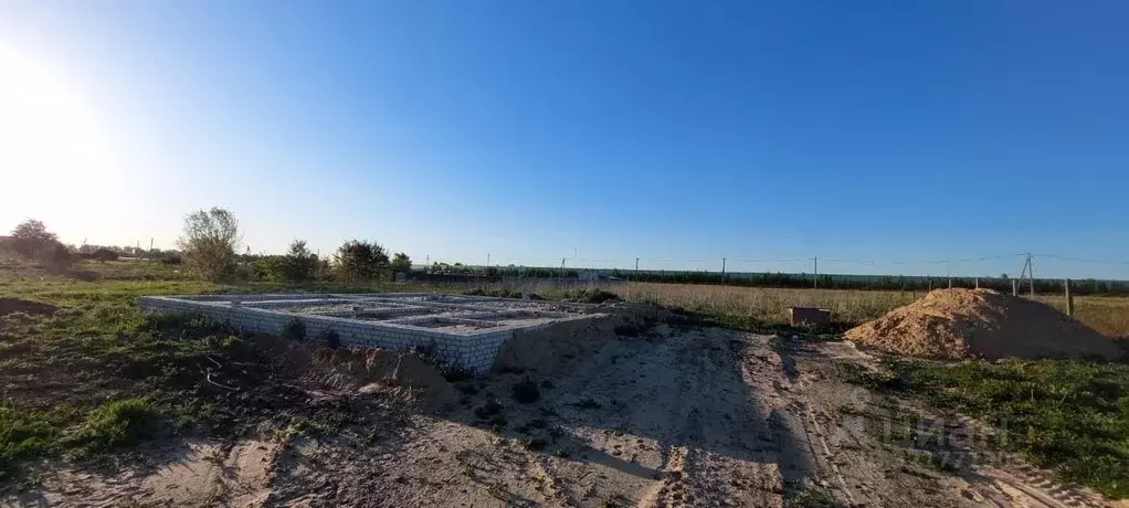 Участок в Воронежская область, Новоусманский район, Отрадненское ... - Фото 1