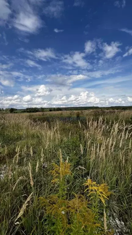 Участок в Нижегородская область, Богородский муниципальный округ, д. ... - Фото 2
