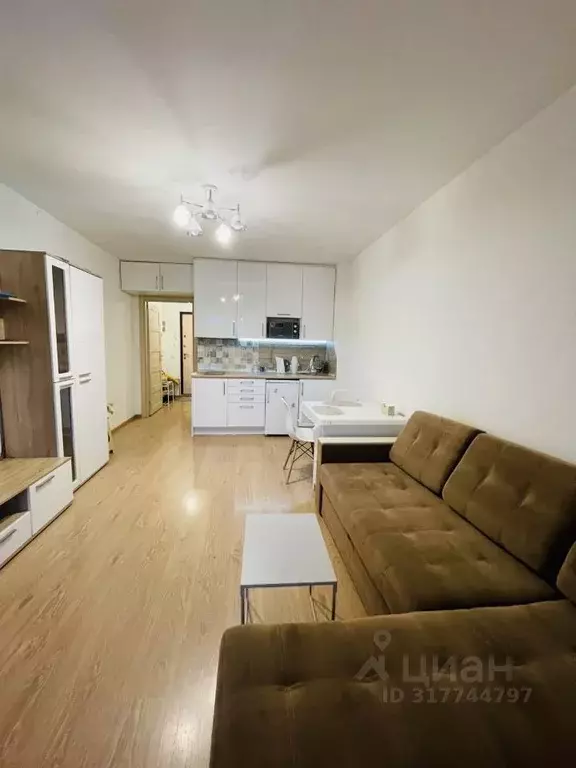 Студия Санкт-Петербург просп. Энергетиков, 9к3 (25.0 м) - Фото 1