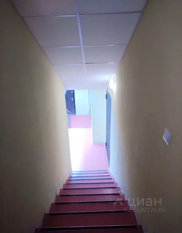 Офис в Новосибирская область, Бердск Радужный мкр, 2 (36 м) - Фото 1