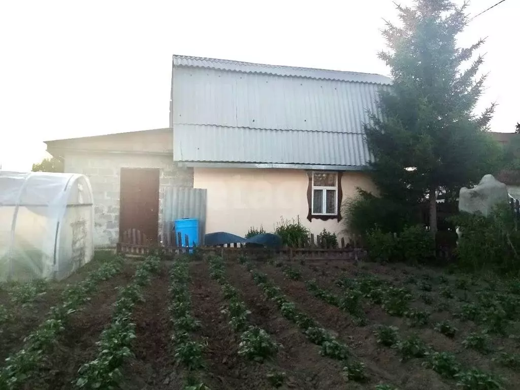 Дом в Тюменская область, Тобольский муниципальный округ, Башковское ... - Фото 2