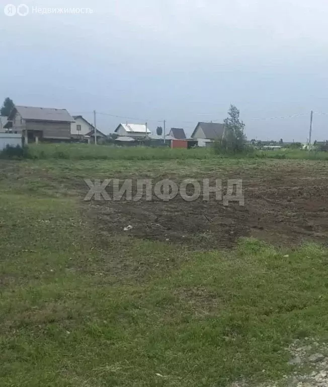 Участок в Новосибирская область, Коченёвский муниципальный район, СНТ ... - Фото 1