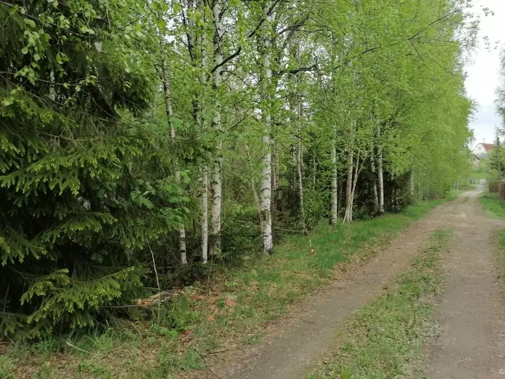 Участок в Ленинградская область, Всеволожский район, Лесколовское ... - Фото 1