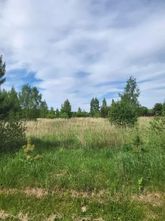 Участок в Владимирская область, Суздальский район, Павловское ... - Фото 1