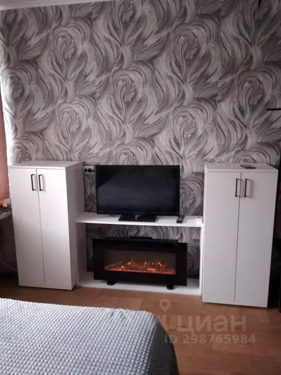 1-к кв. Нижегородская область, Нижний Новгород ул. Пушкина, 29 (32.0 ... - Фото 1