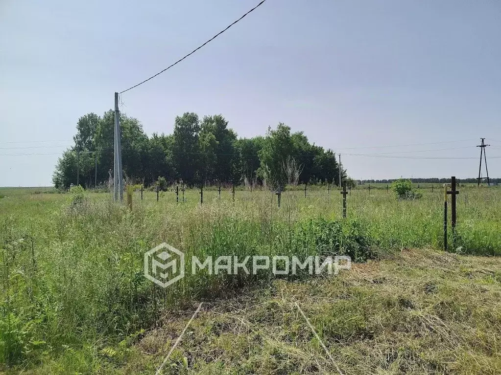 Участок в Новосибирская область, Ордынский район, с. Новопичугово ... - Фото 1