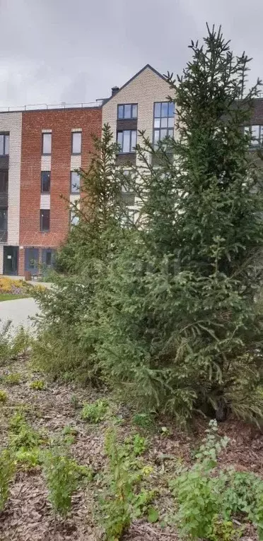 1-к кв. Московская область, Одинцовский городской округ, д. Митькино ... - Фото 2