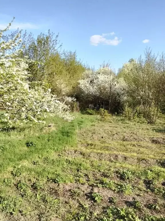 Участок в Московская область, Люберцы городской округ, д. Михнево ул. ... - Фото 2