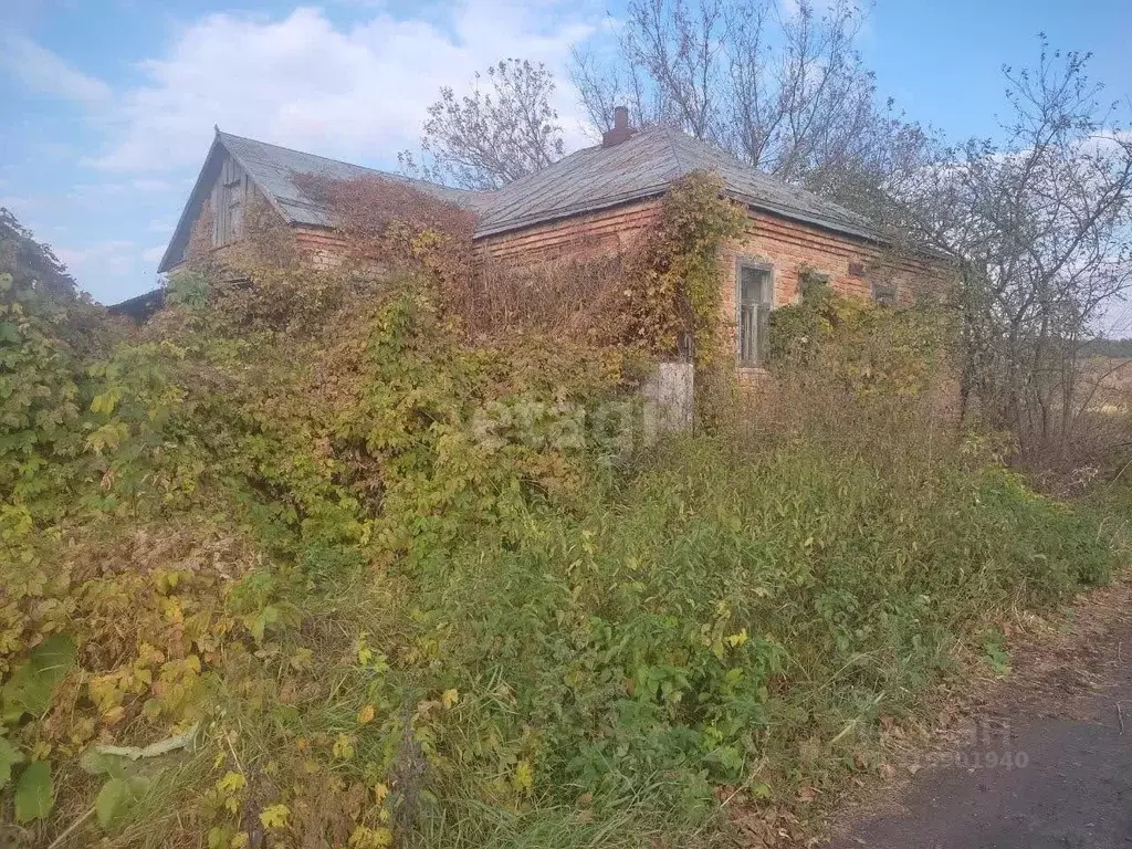 Дом в Белгородская область, Красногвардейский район, Засосенское ... - Фото 0