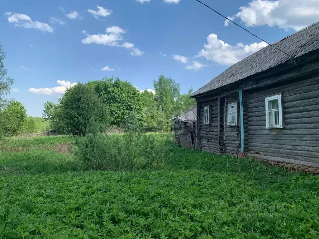 Участок в Ярославская область, Борисоглебский муниципальный округ, д. ... - Фото 0