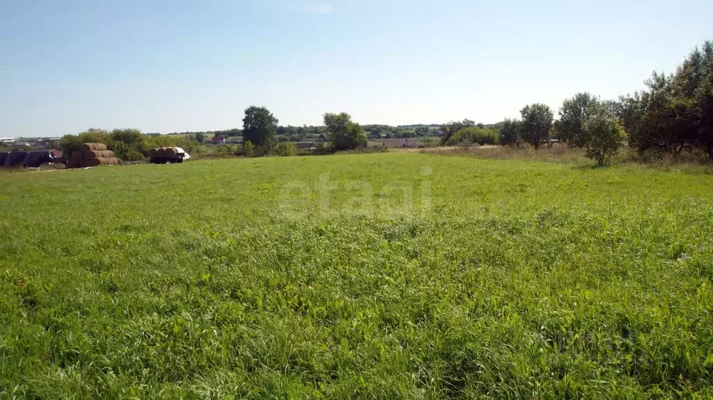 Участок в Орловская область, Свердловский район, Богодуховское с/пос, ... - Фото 1