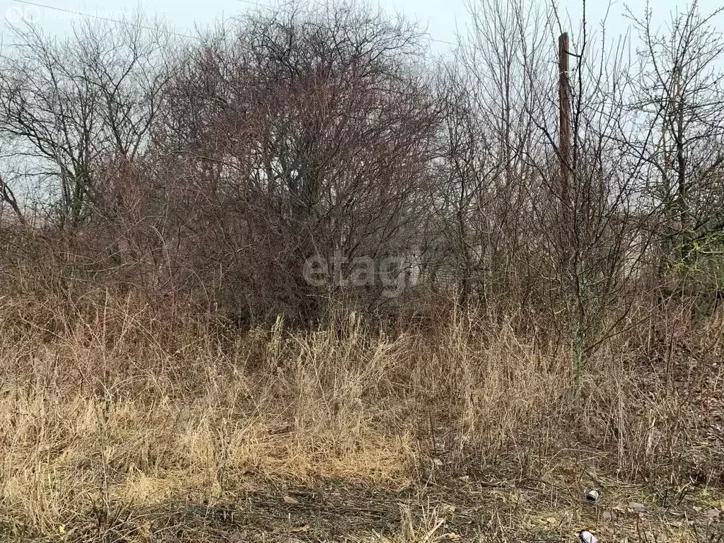 Участок в село Макарье, улица Ленина (25 м) - Фото 0