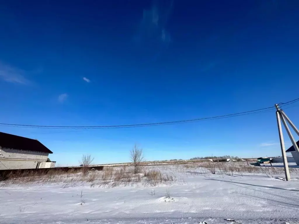 Участок в Самарская область, Красный Яр с/пос, с. Красный Яр ул. ... - Фото 1