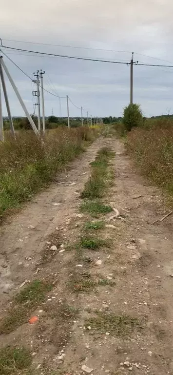 Участок в Калининградская область, Зеленоградский муниципальный округ, ... - Фото 1