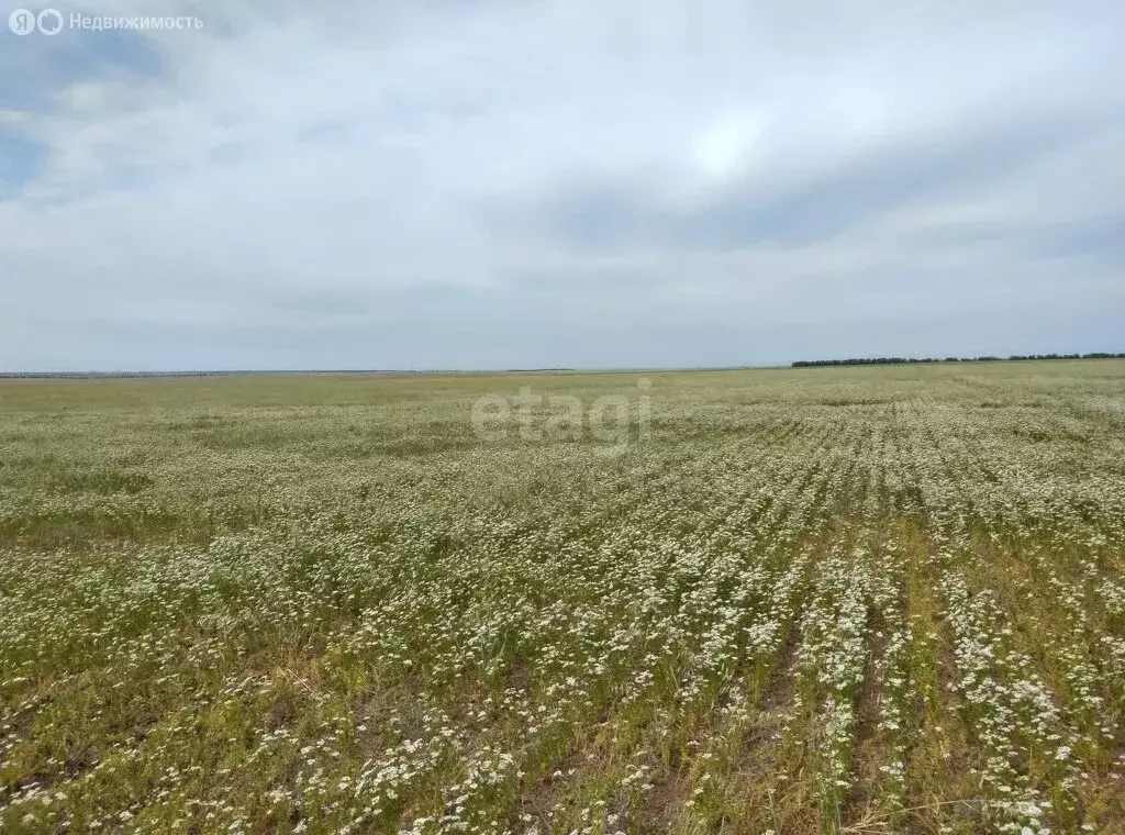 Участок в село Штормовое, улица 60 лет Октября (3.3 м) - Фото 1