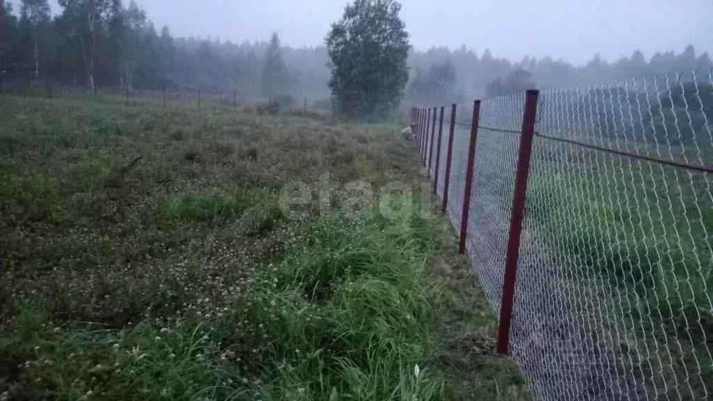 Участок в Московская область, Ступино городской округ, д. ... - Фото 1