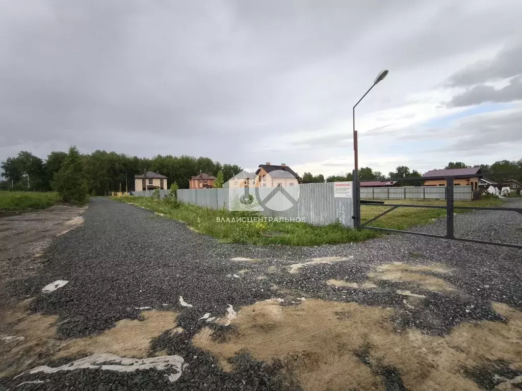 Участок в Новосибирская область, Мошковский район, Луч ДНТ 8 (12.0 ... - Фото 1