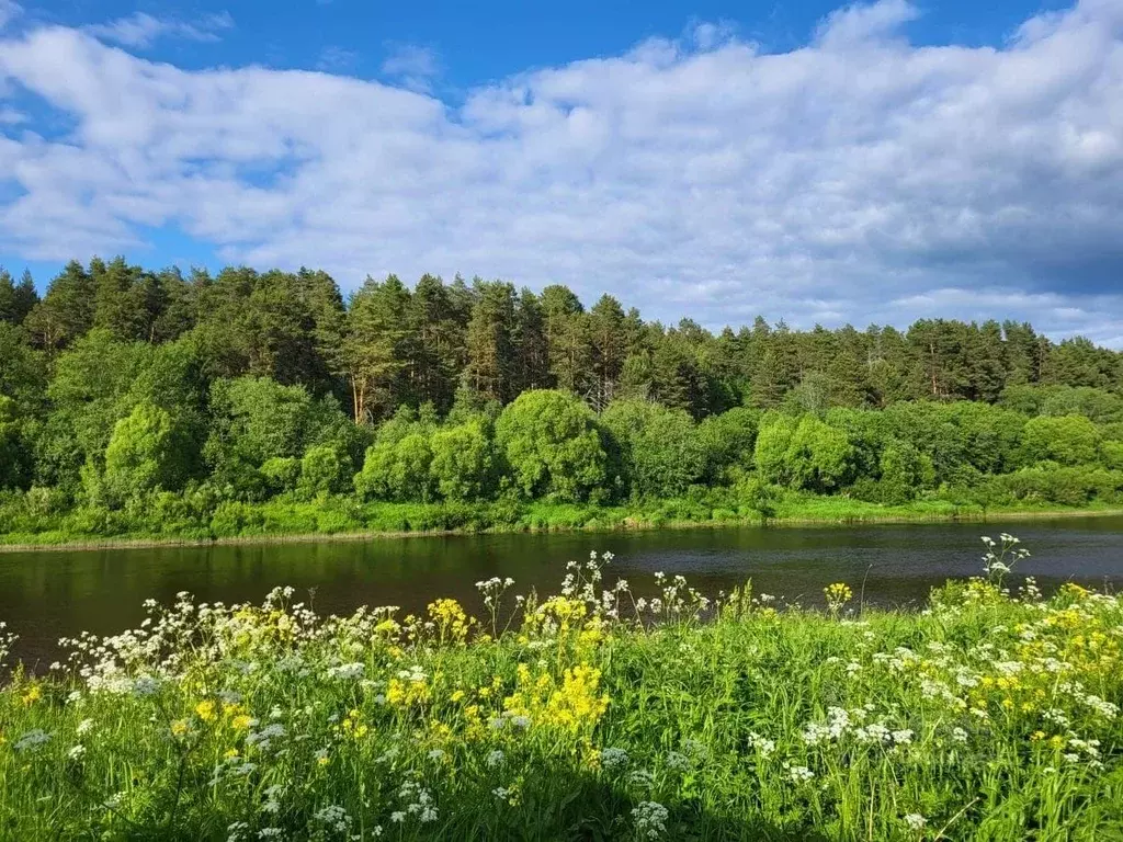 Участок в Тверская область, Калининский муниципальный округ, д. Глинки ... - Фото 1