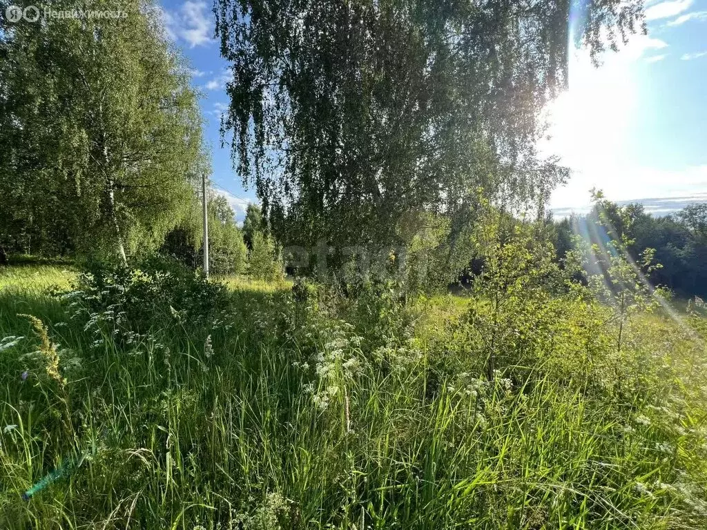 Участок в Костромской район, Шунгенское сельское поселение, село Шунга ... - Фото 2