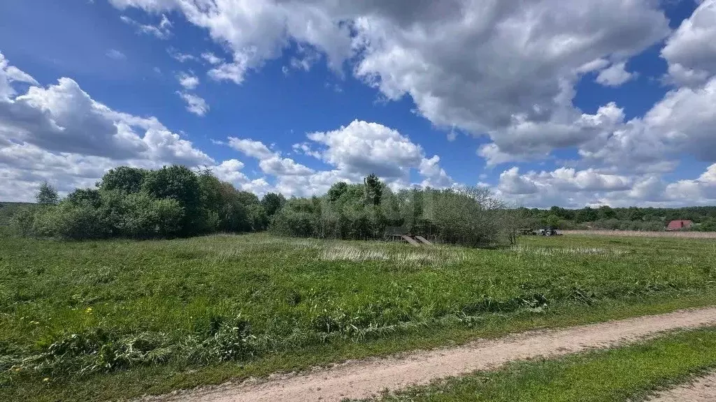 Участок в Тульская область, Тула городской округ, д. Прилепские ... - Фото 1