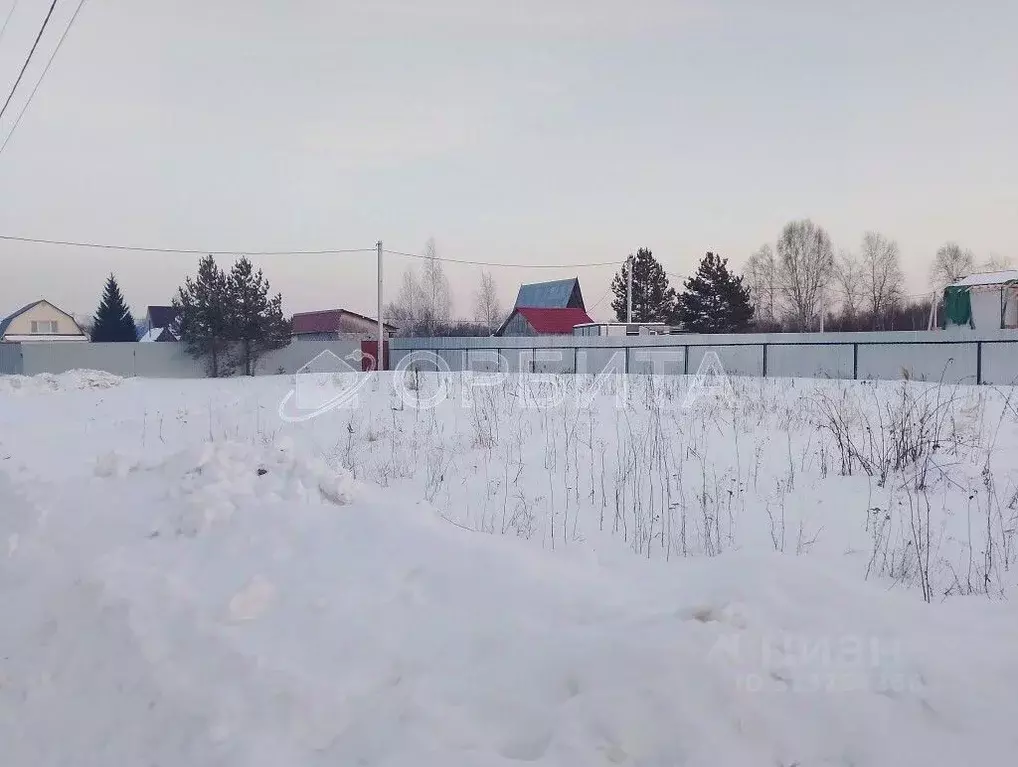 Участок в Тюменская область, Тюмень Садовое товарищество Липовый ... - Фото 0