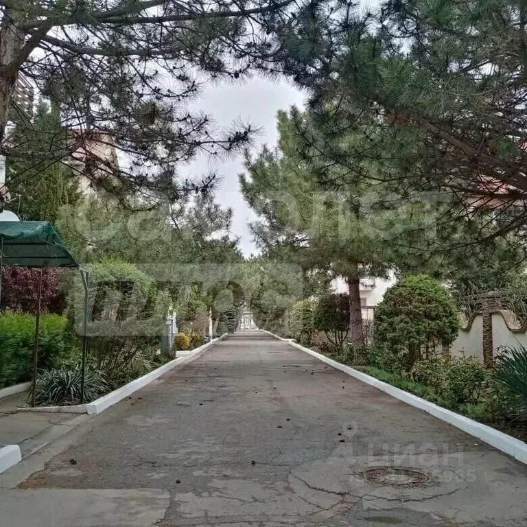 Студия Крым, Симферопольский район, Николаевка пгт ул. Чудесная, 2/6 ... - Фото 2