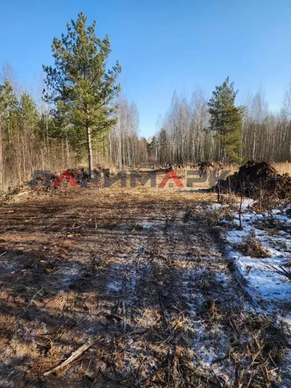 Участок в Московская область, Богородский городской округ, Сокол СНТ ... - Фото 2