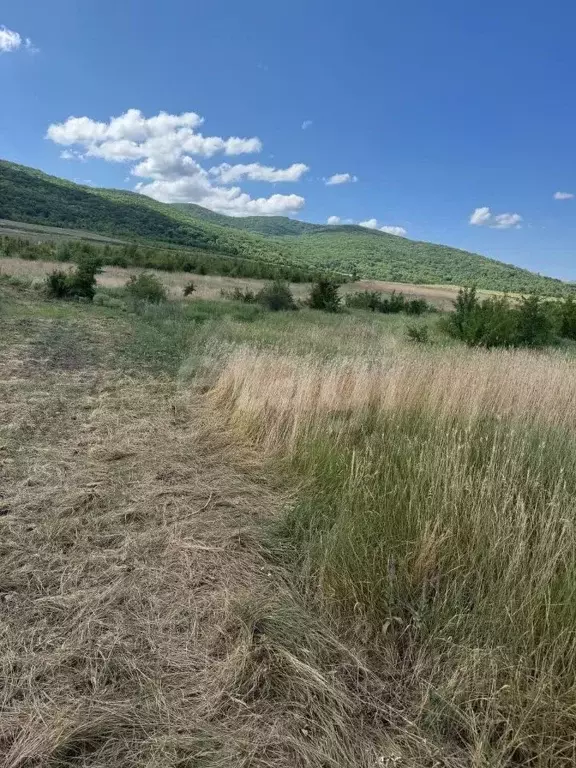 Участок в Крым, Белогорский район, Чернопольское с/пос, с. Кизиловка ... - Фото 0