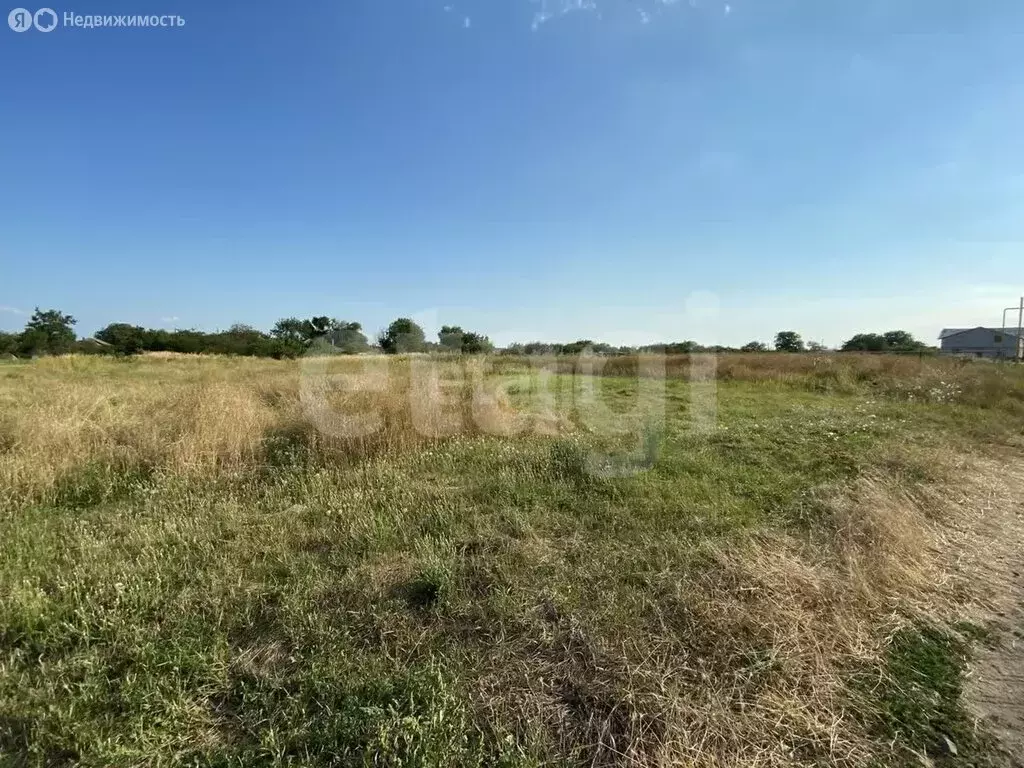 участок в село натальевка, родниковая улица (4.52 м) - Фото 1