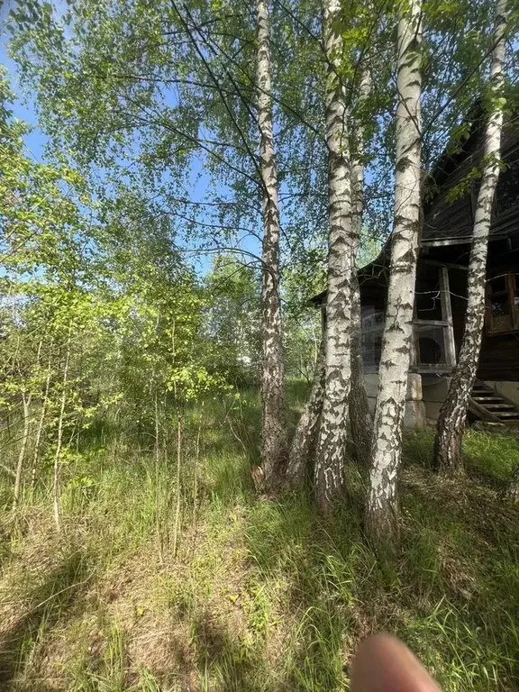 Дача 70 м на участке 15 сот. - Фото 0