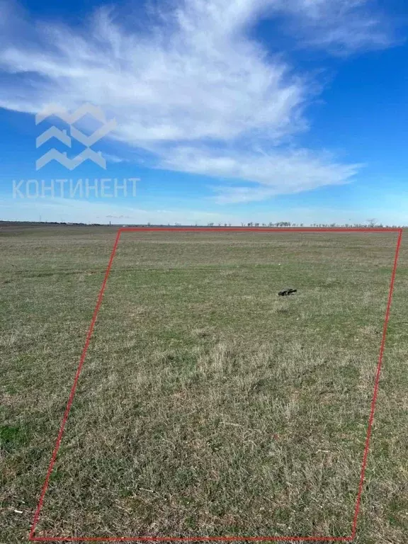 Участок в Крым, Сакский район, с. Веселовка  (445.7 сот.) - Фото 1