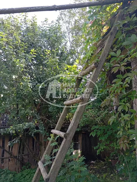 Дом в деревня Адам, Восточная улица, 15 (60 м) - Фото 2