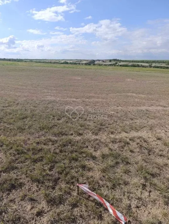 Участок в Волгоградская область, Городищенский район, Орловское с/пос, ... - Фото 1