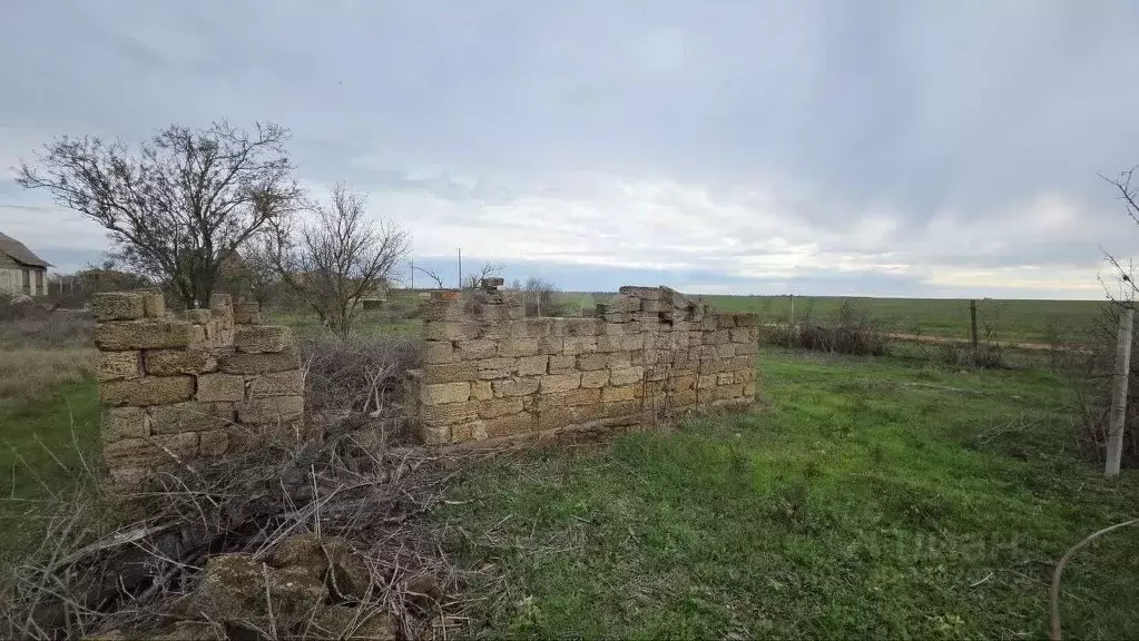 Участок в Крым, Сакский район, Лесновское с/пос, Дружба СНТ  (5.6 ... - Фото 2