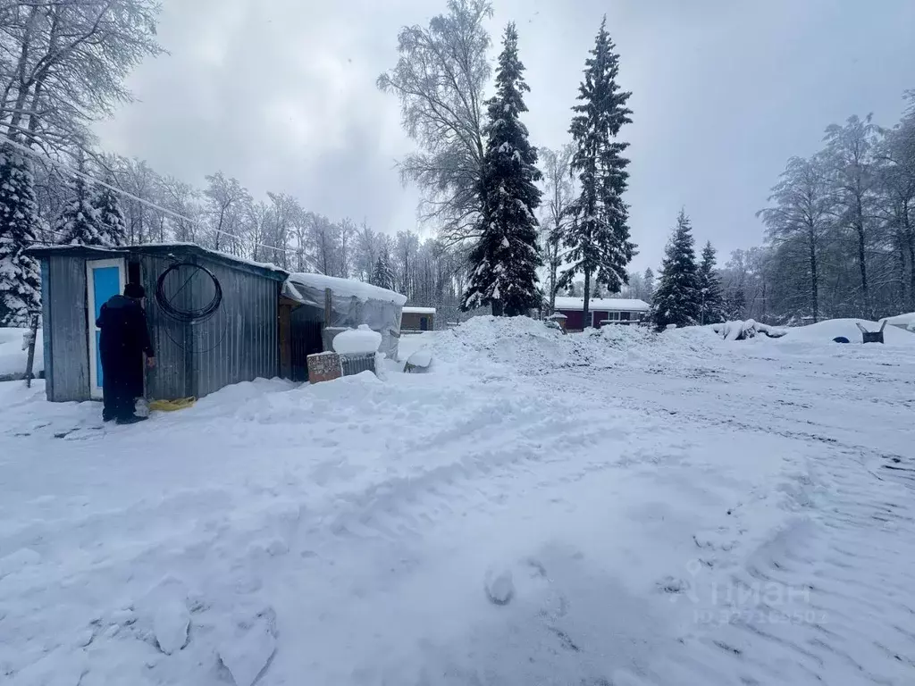 Участок в Московская область, Солнечногорск городской округ, Лесные ... - Фото 2
