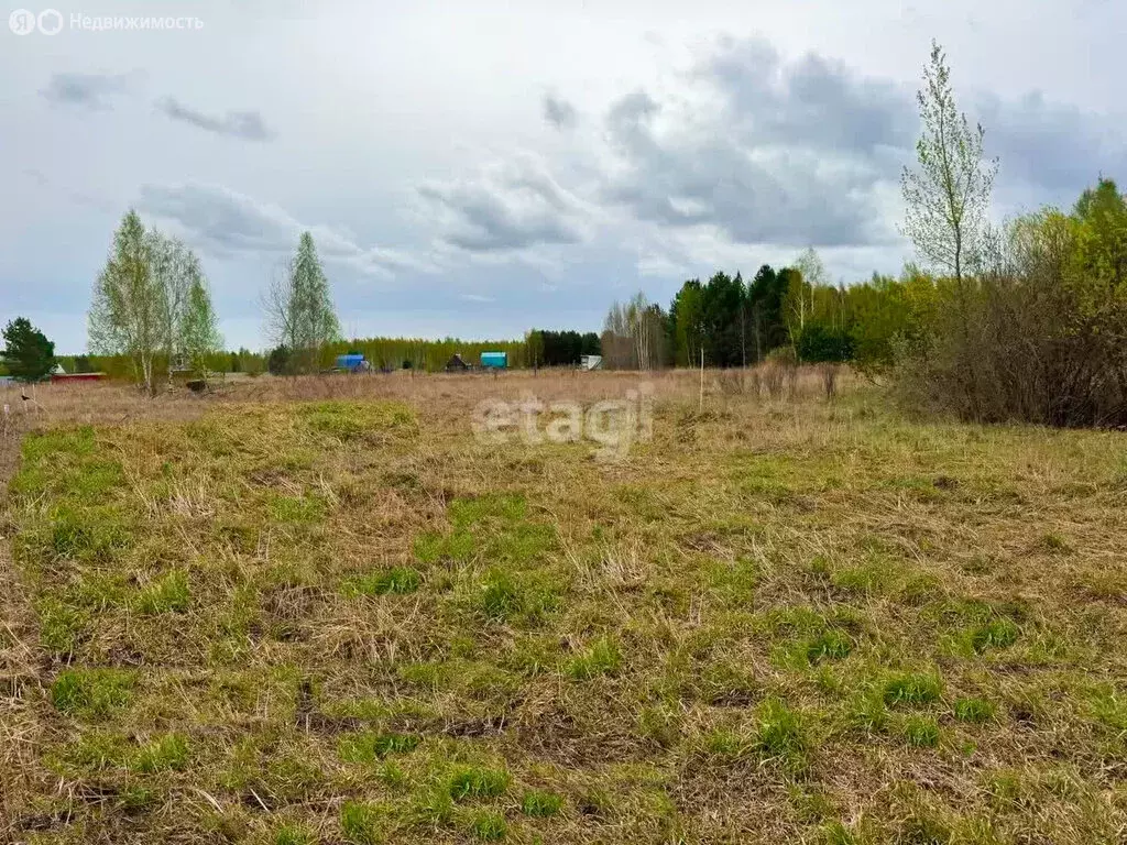 Участок в Тюменский район, ДНТ Янтарное, Сиреневая улица (15 м) - Фото 0