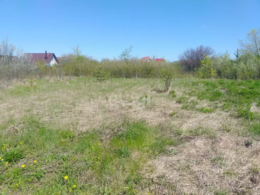 Купить Участок В Медовке Воронежской Области