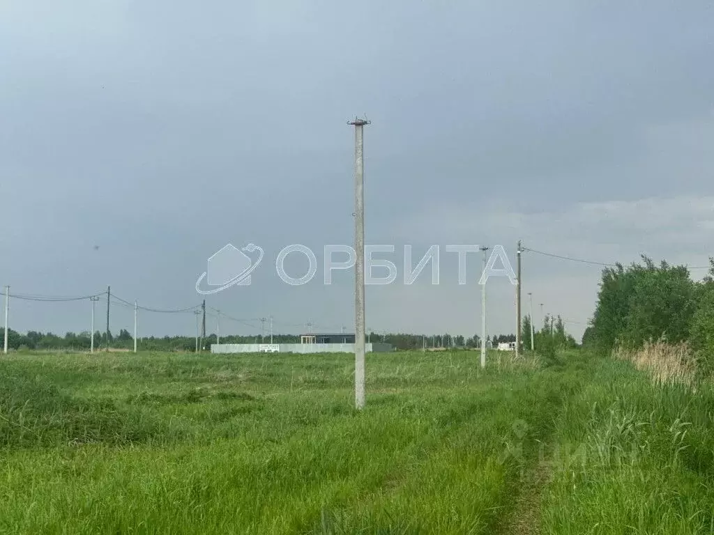 Участок в Тюменская область, Тюмень Большое Царево-1 СНТ,  (10.0 сот.) - Фото 2