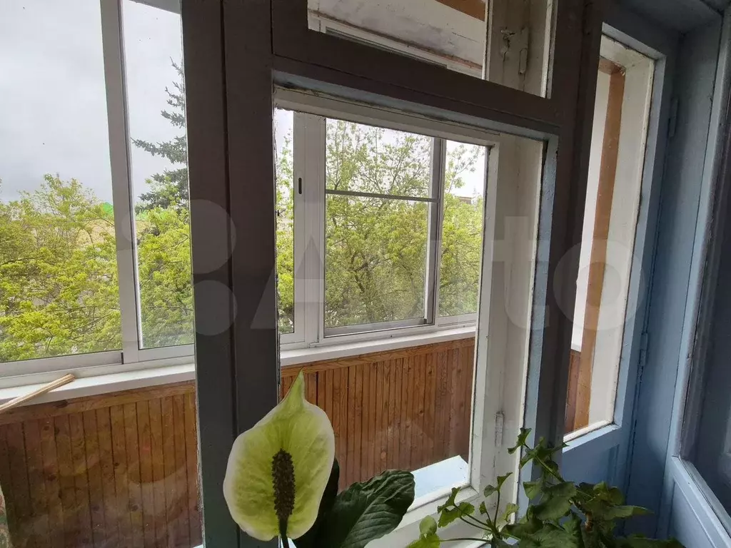 1-к. квартира, 31 м, 3/5 эт. - Фото 1