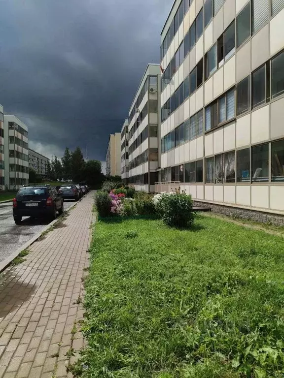 Студия Ленинградская область, Ломоносовский район, д. Низино ул. ... - Фото 1