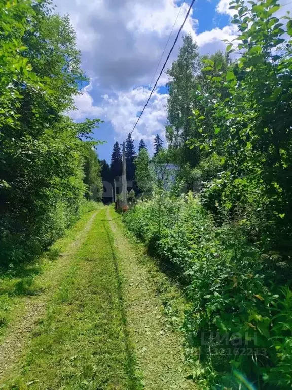 Участок в Москва Берендеи СНТ, 53 (18.0 сот.) - Фото 2