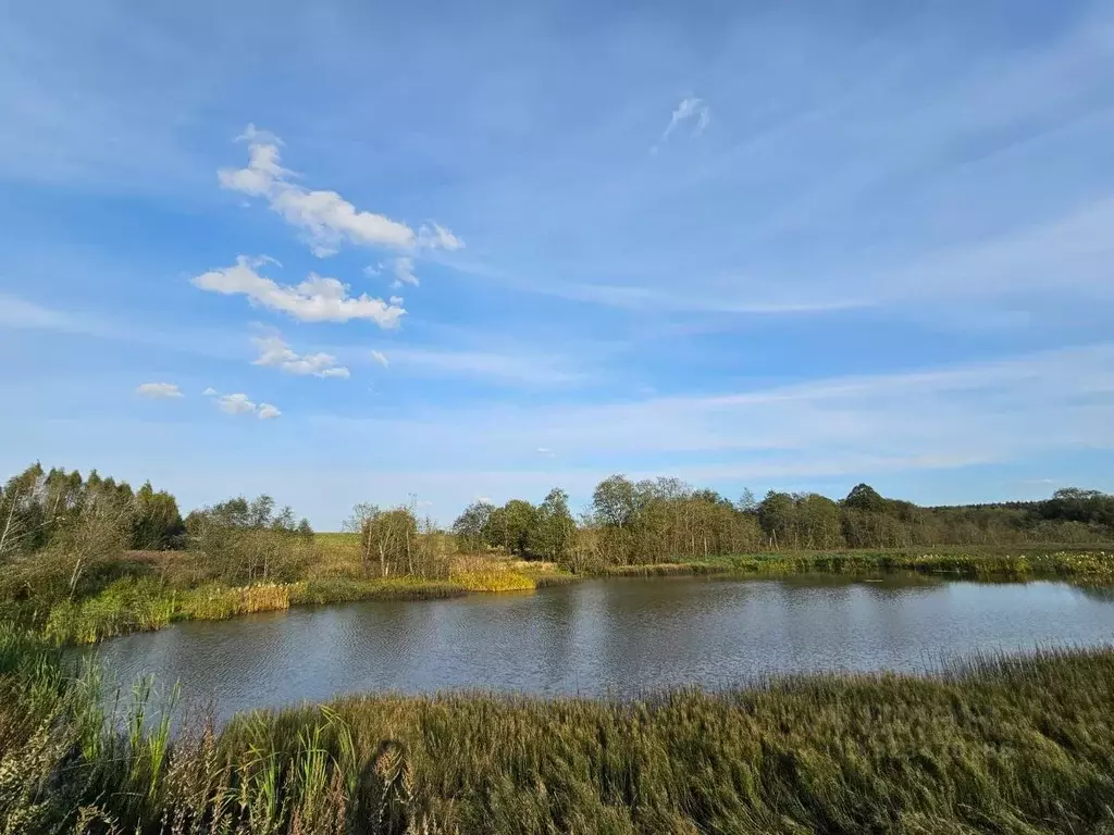 Участок в Московская область, Клин городской округ, д. Иевлево  (9.0 ... - Фото 1