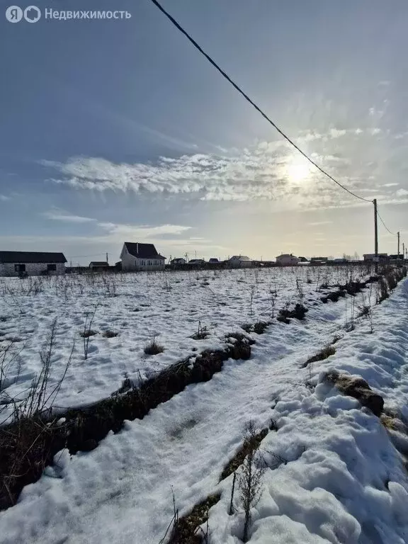 Участок в деревня Аннолово, Алтайская улица, 8 (12 м) - Фото 2