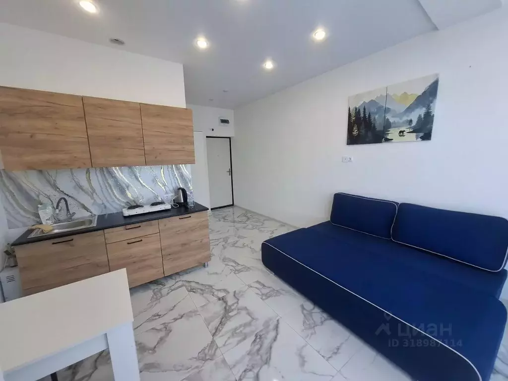 Студия Краснодарский край, Сочи Пятигорская ул., 46 (22.0 м) - Фото 2