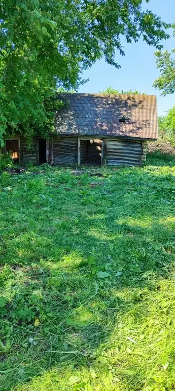 Участок в Чувашия, Аликовский муниципальный округ, д. Коракши  (35.0 ... - Фото 2