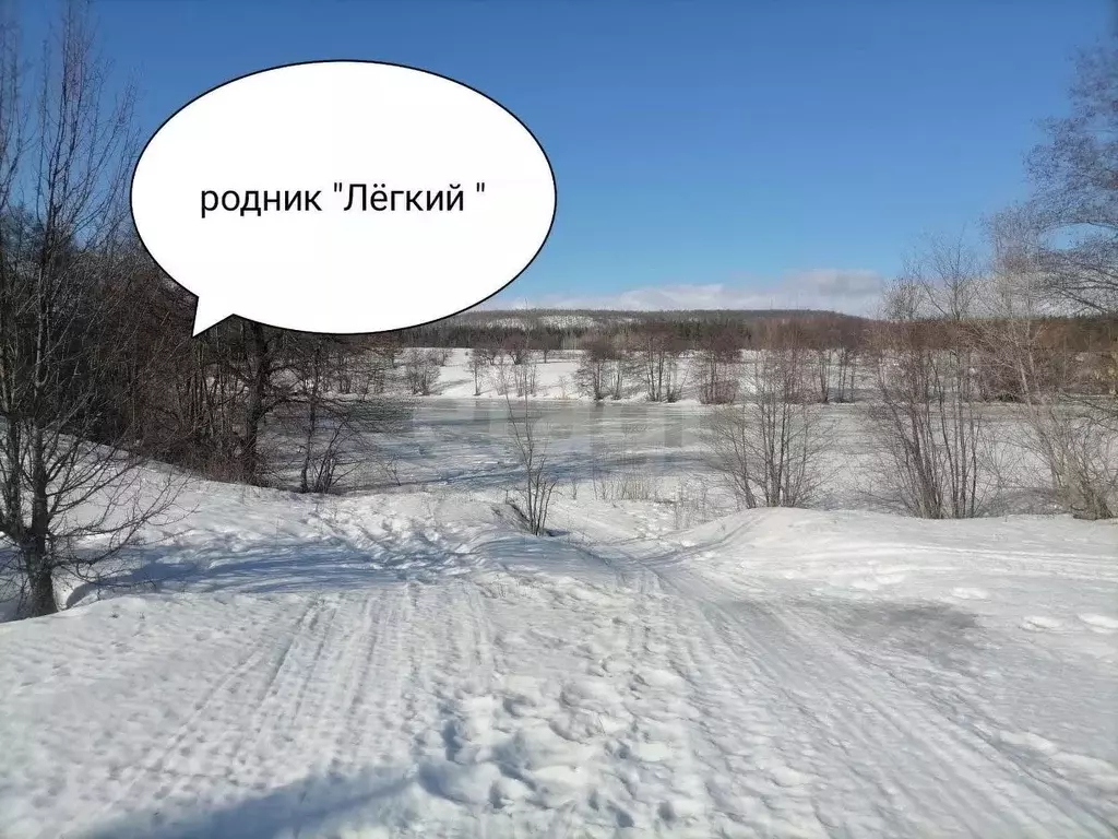 Участок в Саратовская область, Базарно-Карабулакский район, ... - Фото 2