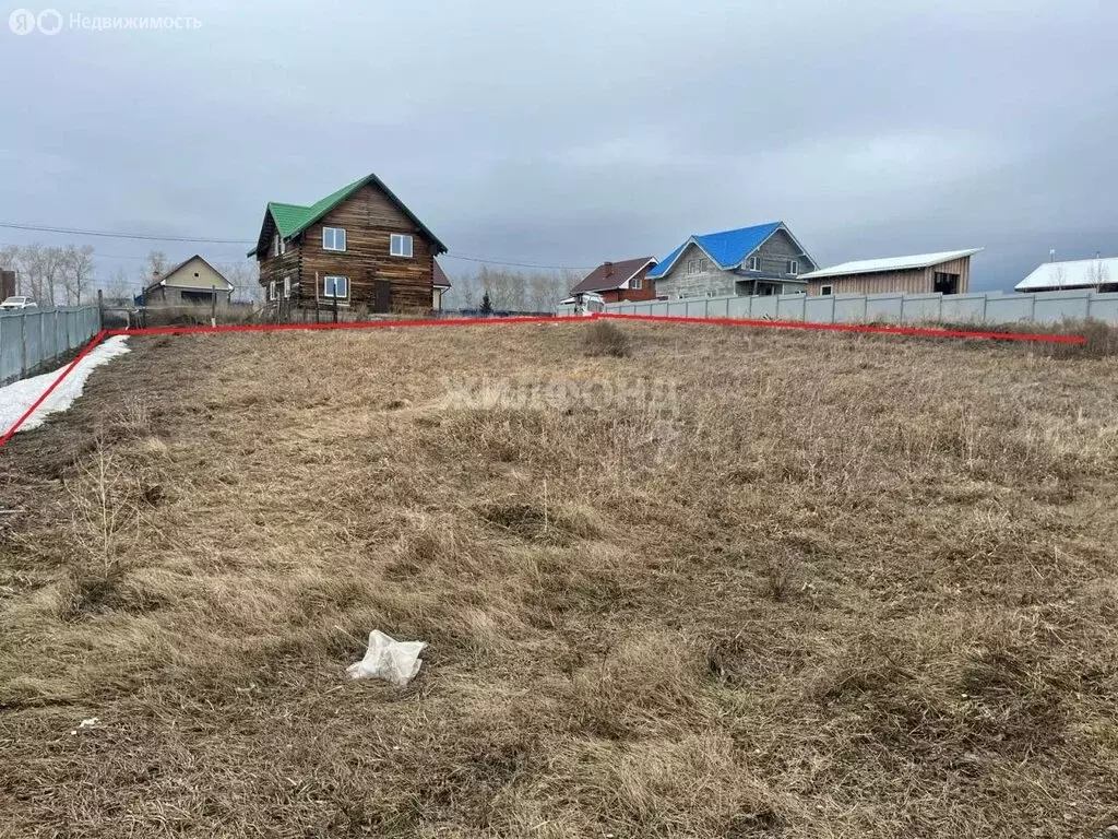 Участок в Новосибирский район, Морской сельсовет, село Ленинское (12 ... - Фото 1