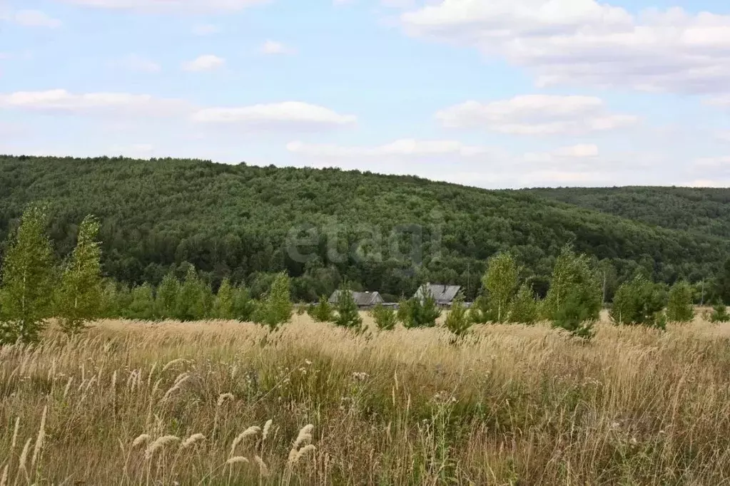 Участок в Мордовия, Кочкуровский район, с. Мурань  (12.0 сот.) - Фото 2