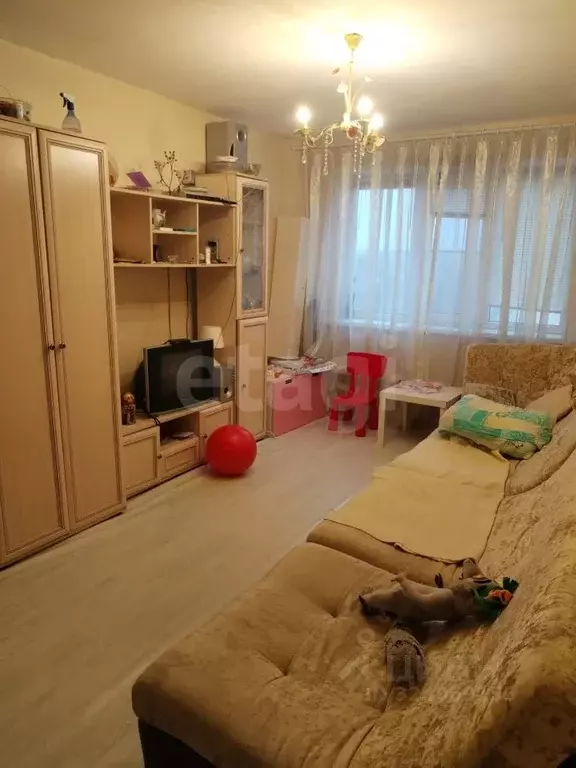 3-к кв. Нижегородская область, Выкса Центральный мкр, 1 (65.8 м) - Фото 2